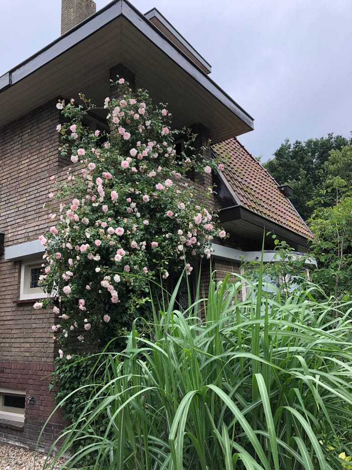 Photo 77 of Plantsoenstraat 7