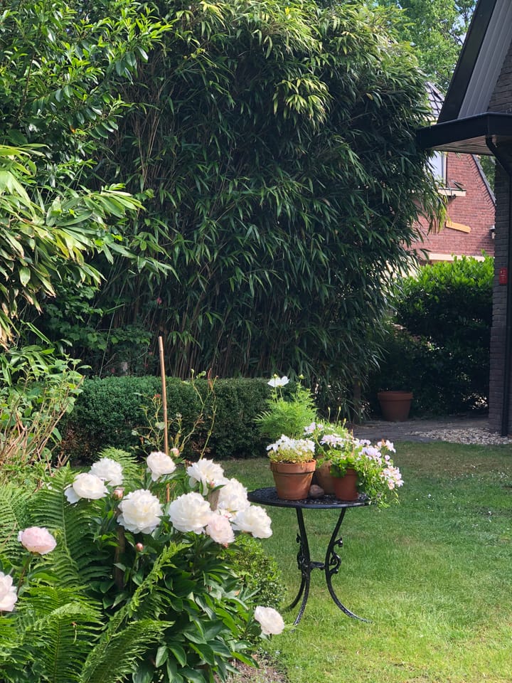 Photo 80 of Plantsoenstraat 7