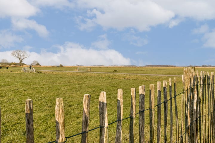 Foto 38 van Drs. J. van Disweg 8