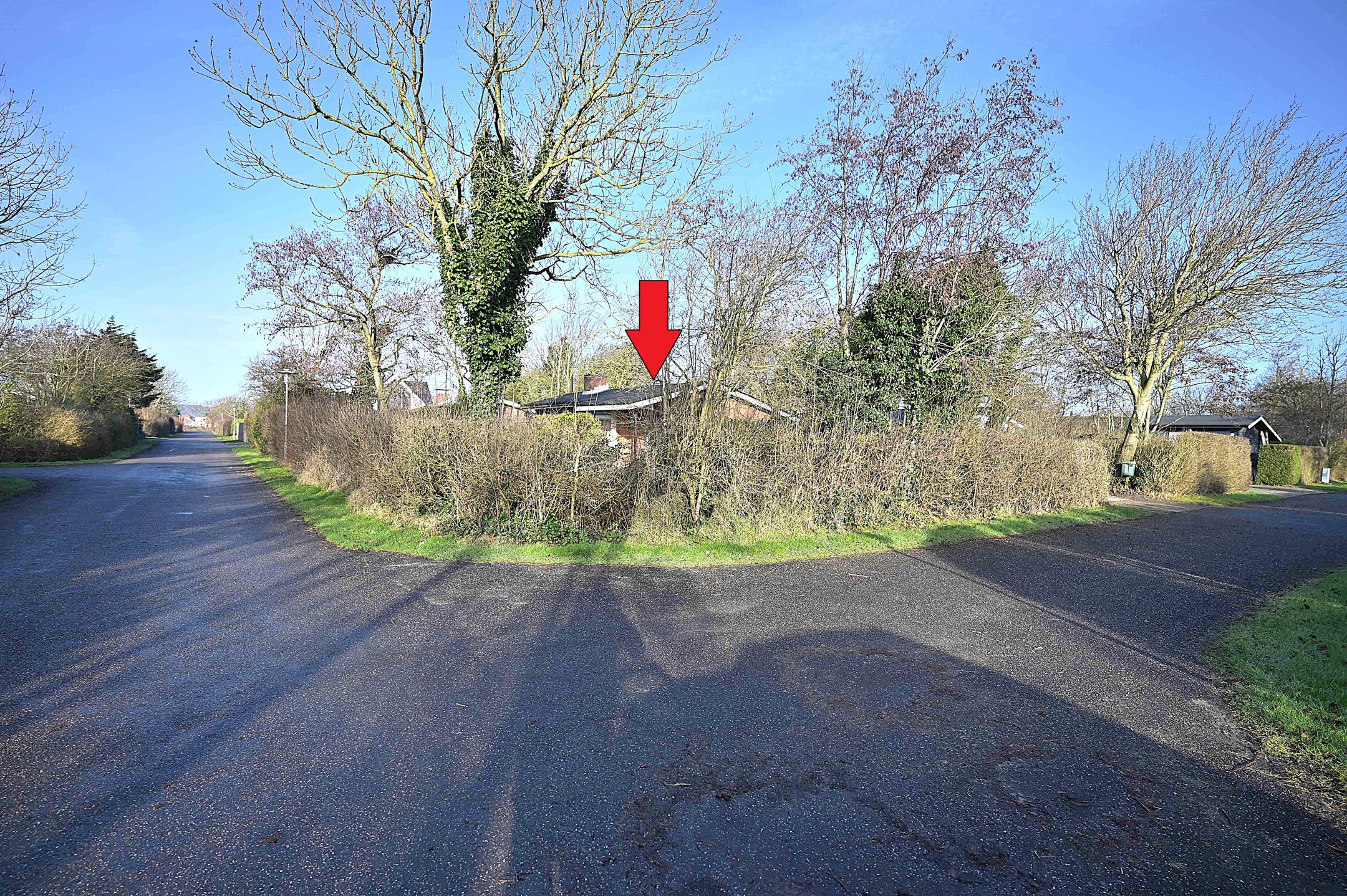 Foto 3 van Branding 12