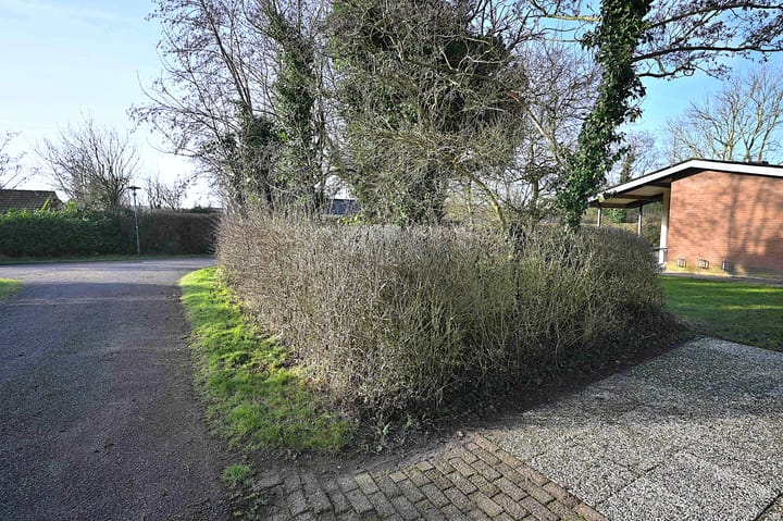 Foto 4 van Branding 12