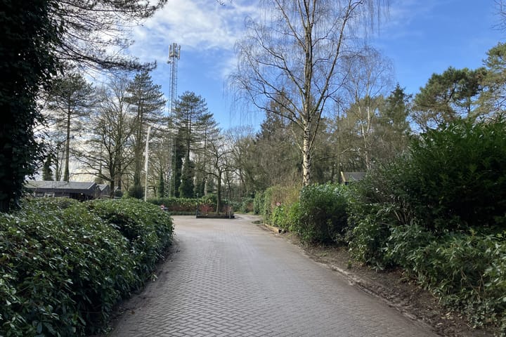 Photo 3 of De Stille Wille 2