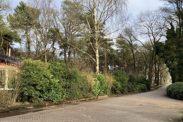 Photo 4 of De Stille Wille 2