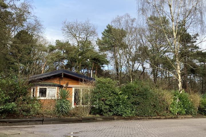 Photo 5 of De Stille Wille 2