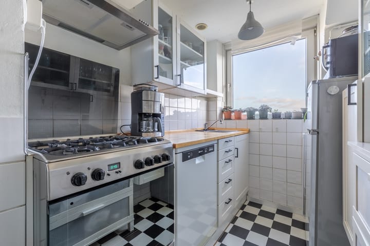 Foto 3 van Langswater 909