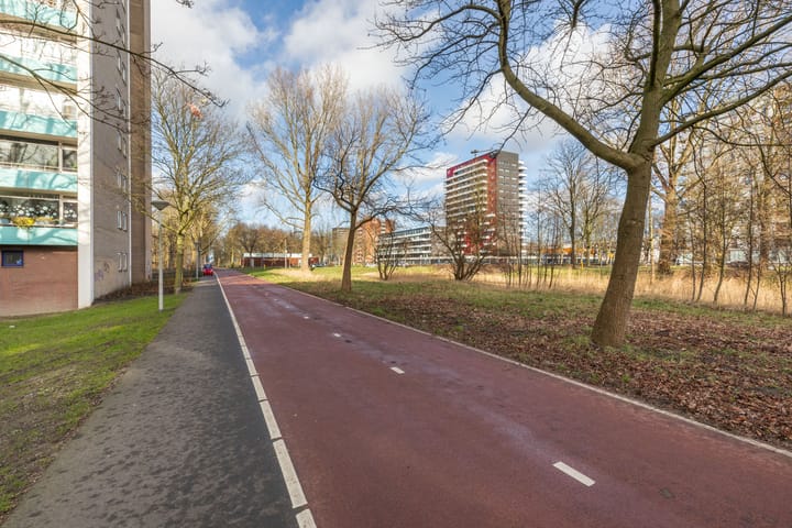 Foto 42 van Langswater 909