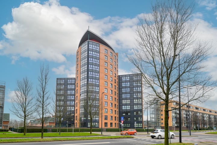 Peter van Anrooylaan 241