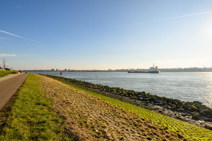 Photo 39 of Peter van Anrooylaan 241