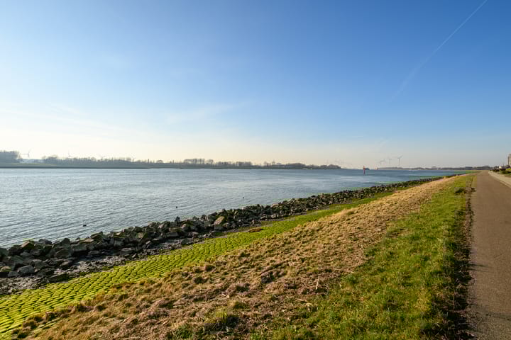 Photo 40 of Peter van Anrooylaan 241