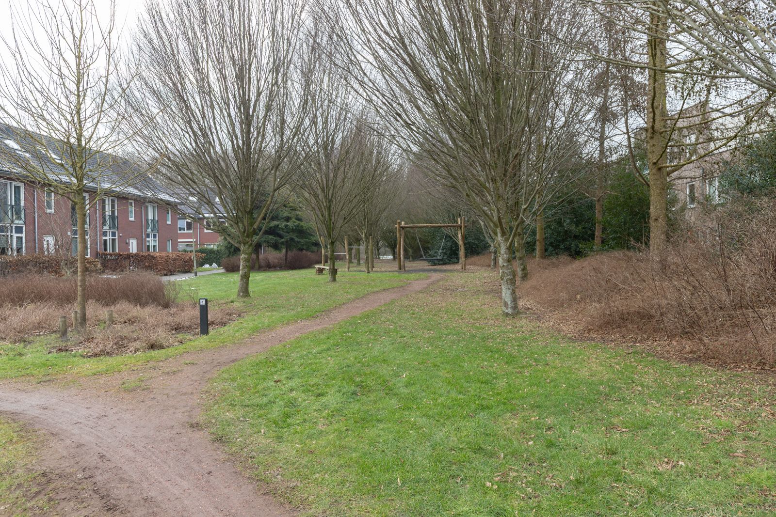 Foto 3 van Boslelie 5