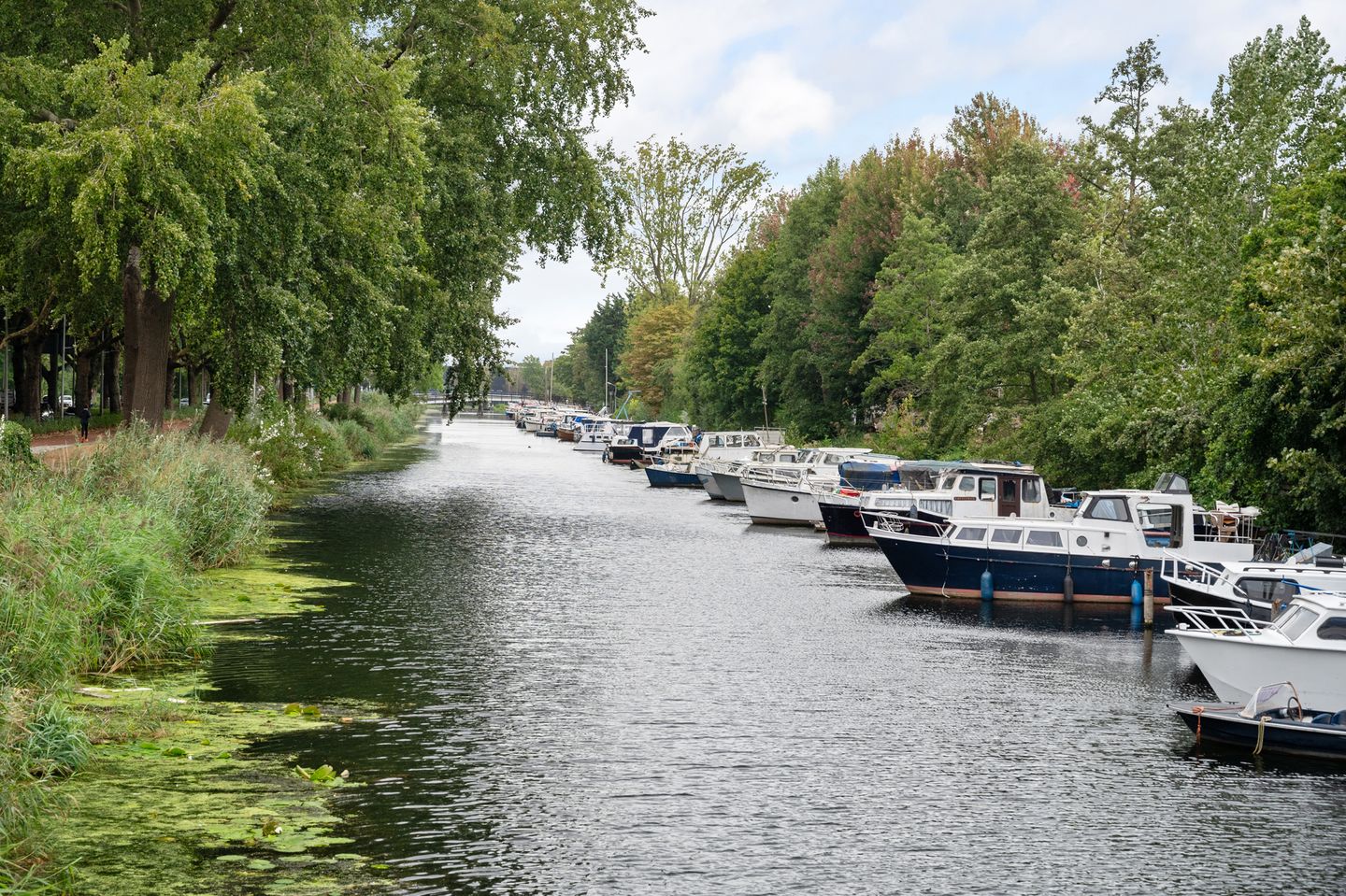 Photo 44 of Gijs van Veldhuizenlaan 106