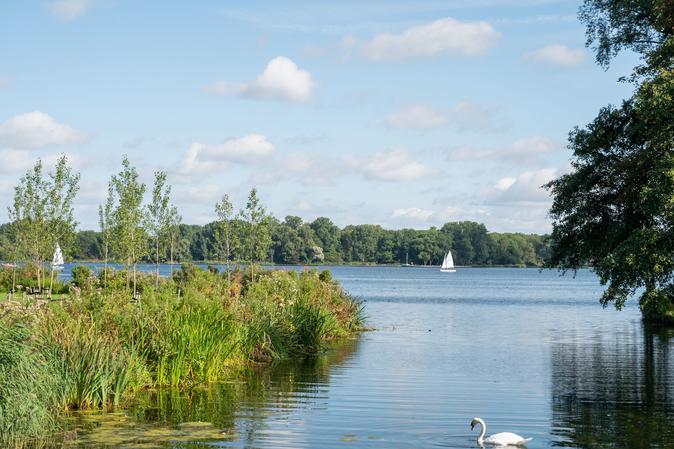 Photo 45 of Gijs van Veldhuizenlaan 106