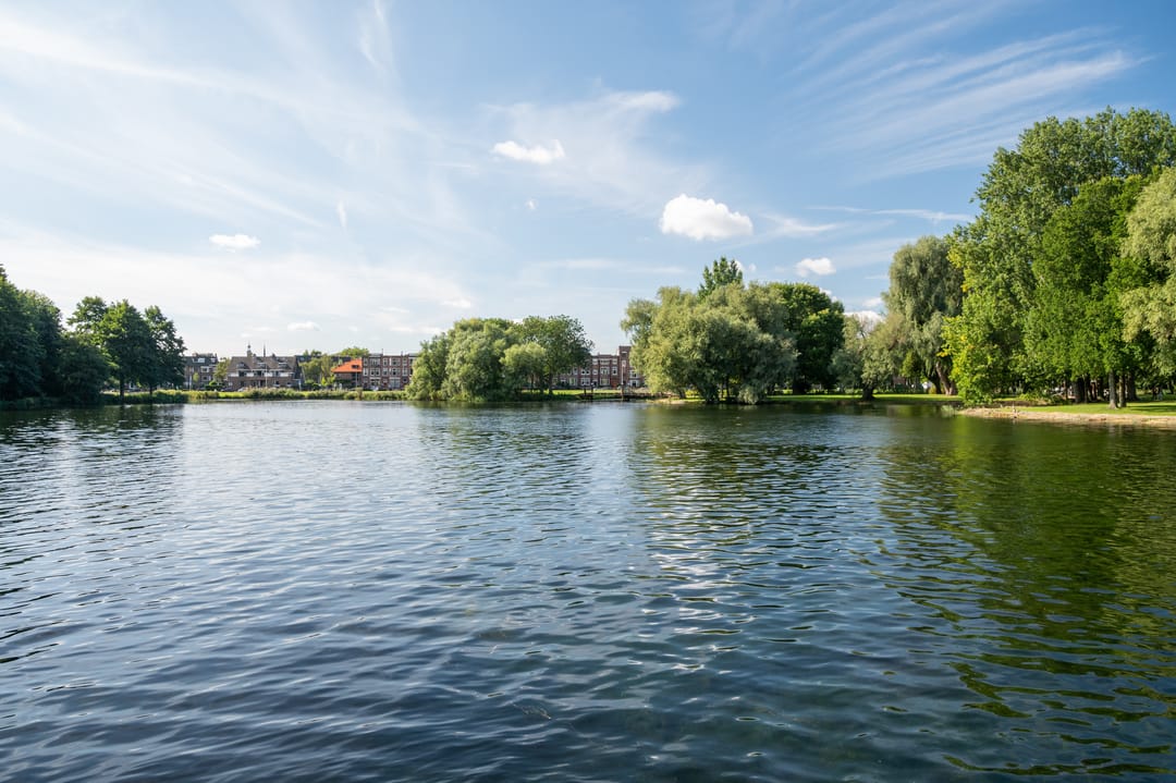 Photo 46 of Gijs van Veldhuizenlaan 106