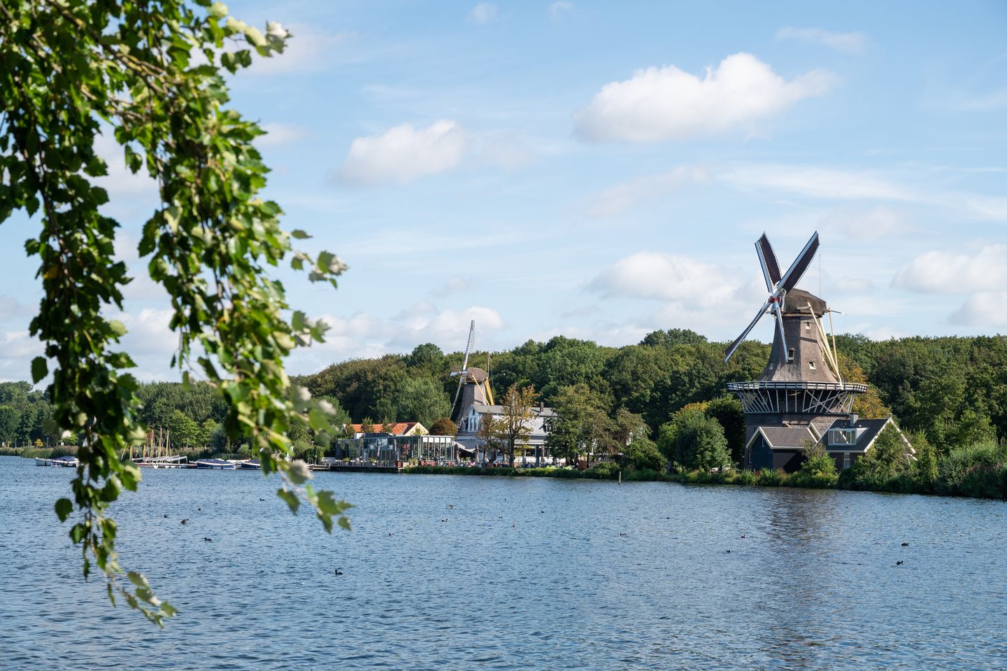 Photo 49 of Gijs van Veldhuizenlaan 106