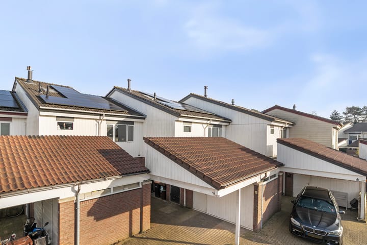 Foto 2 van Gemini 61