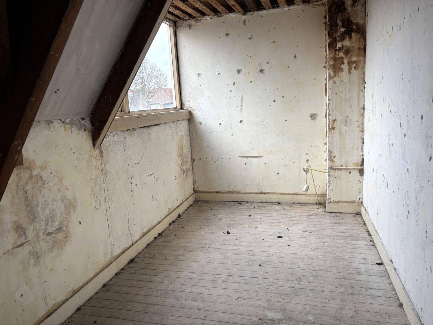 Foto 14 van Haitsma Mulierstraat 76