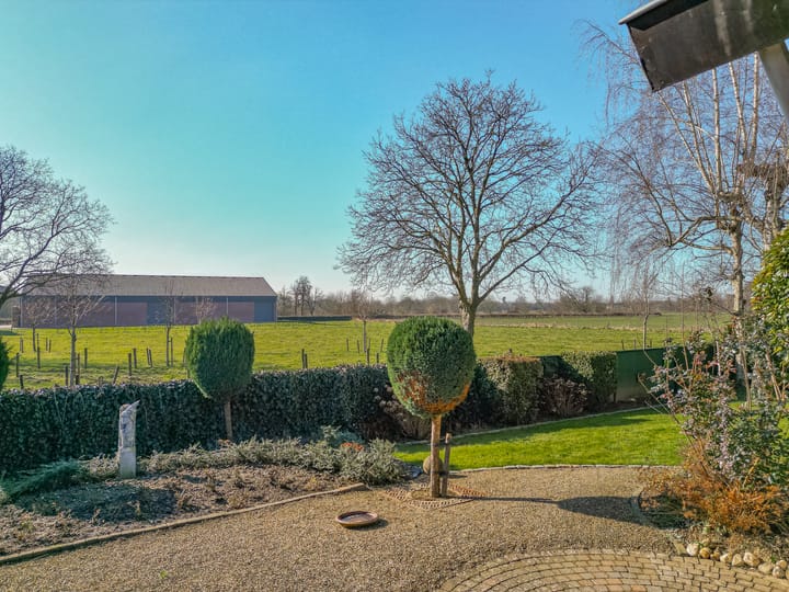 Foto 2 van Iepenlaan 20