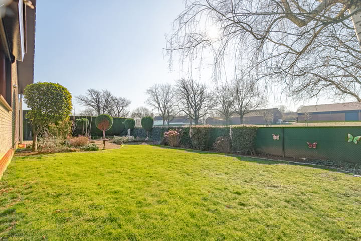 Foto 21 van Iepenlaan 20