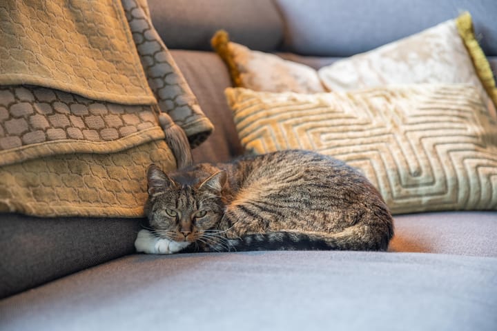 Foto 18 van Laan van Nieuw Meerten 32