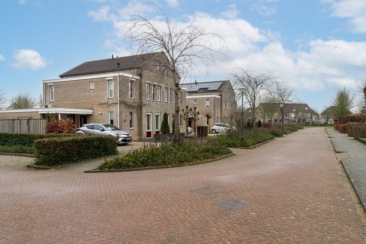 Foto 2 van Vlinderslag 21