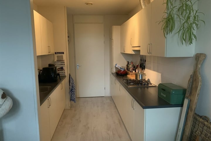 Molenstraat 188
