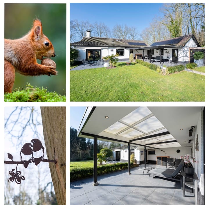 Foto 34 van Bosschenhoofdsestraat 23