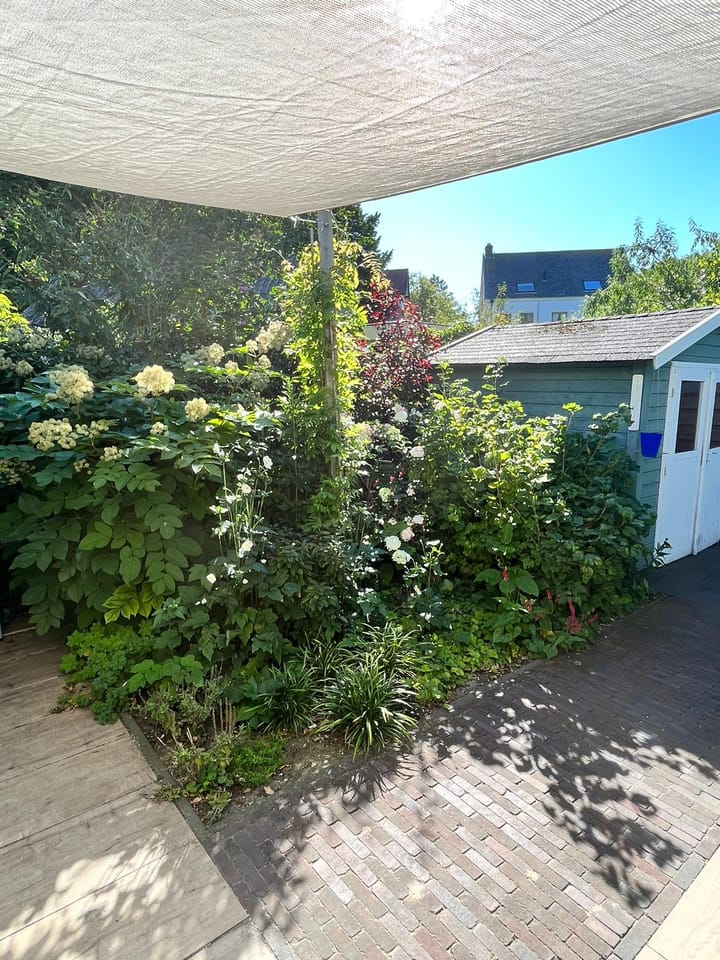 Foto 54 van Weeresteinstraat 9