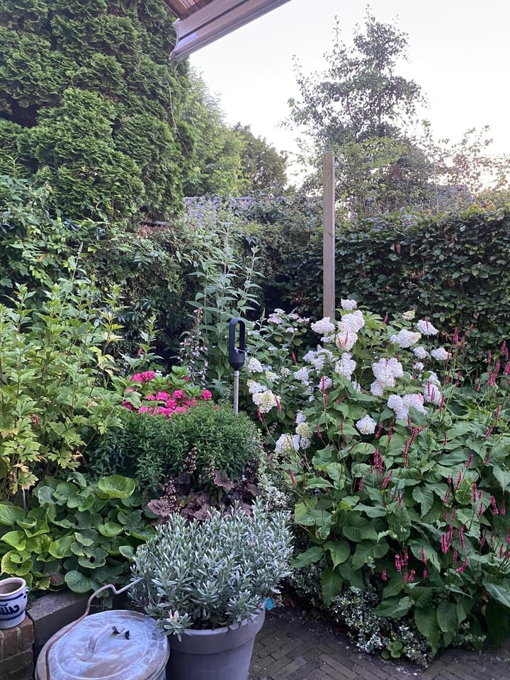 Foto 56 van Weeresteinstraat 9