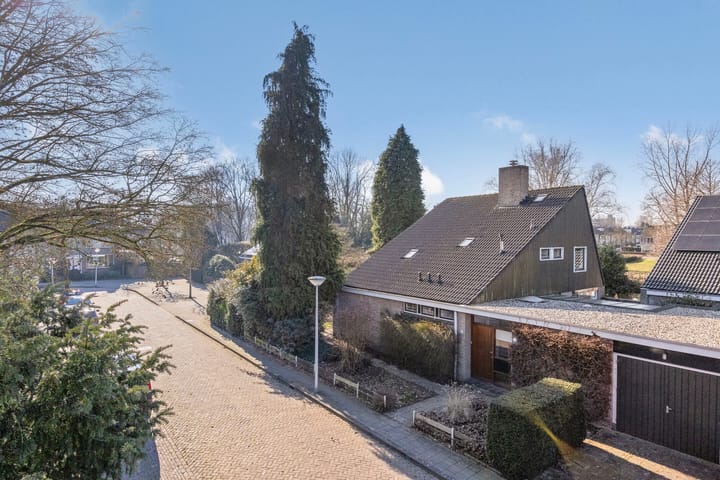 Photo 1 of Romuluslaan 41