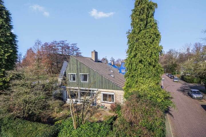 Foto 2 van Romuluslaan 41