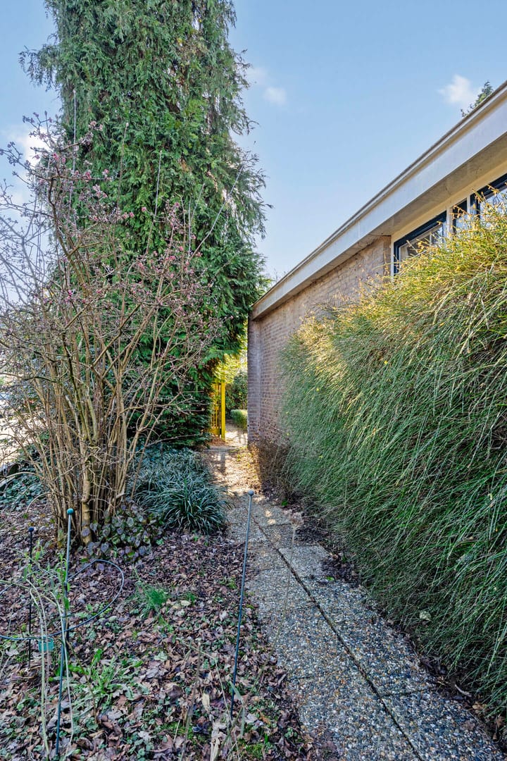 Photo 39 of Romuluslaan 41