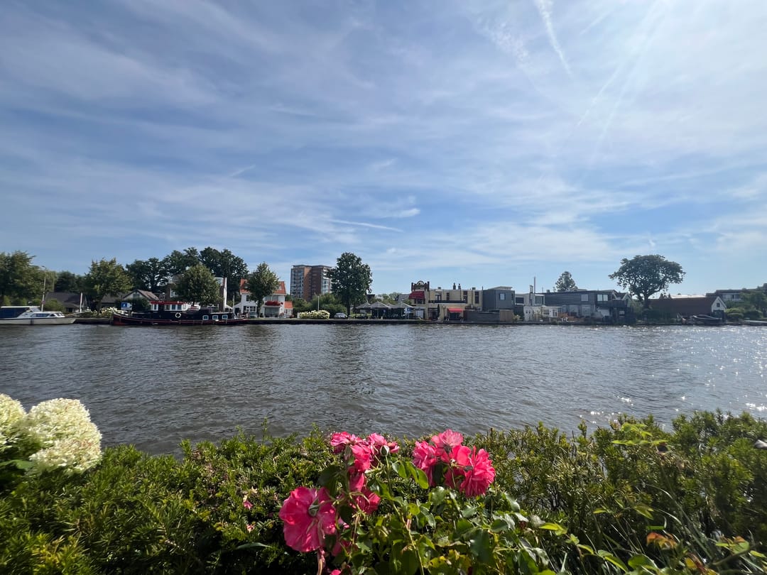 Photo 23 of Varossieaupalet 12