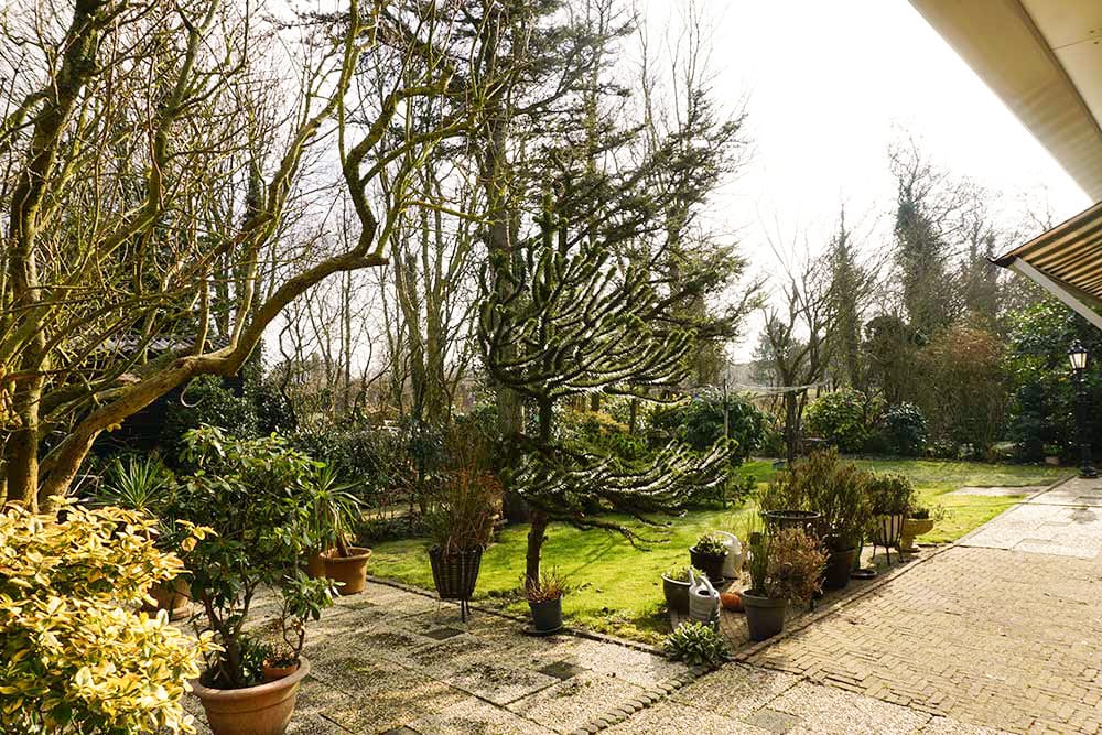 Foto 33 van De Keizerskroon 215