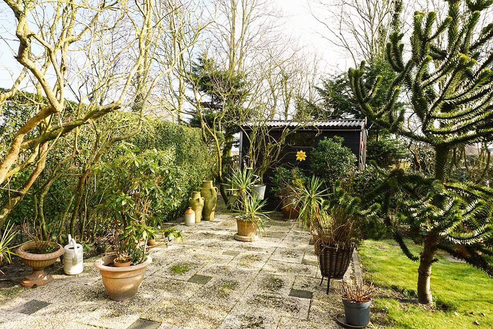 Foto 34 van De Keizerskroon 215