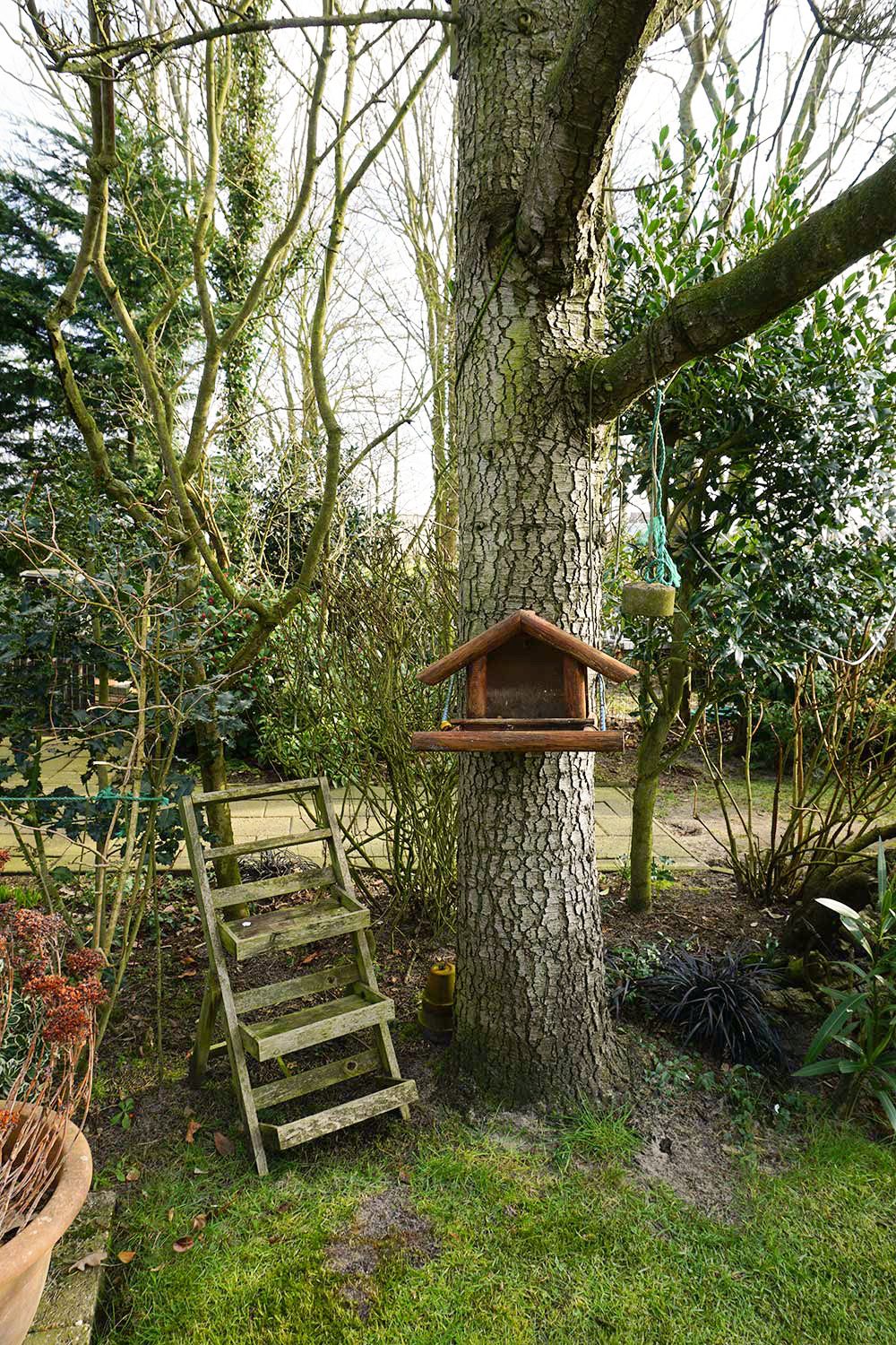 Foto 40 van De Keizerskroon 215