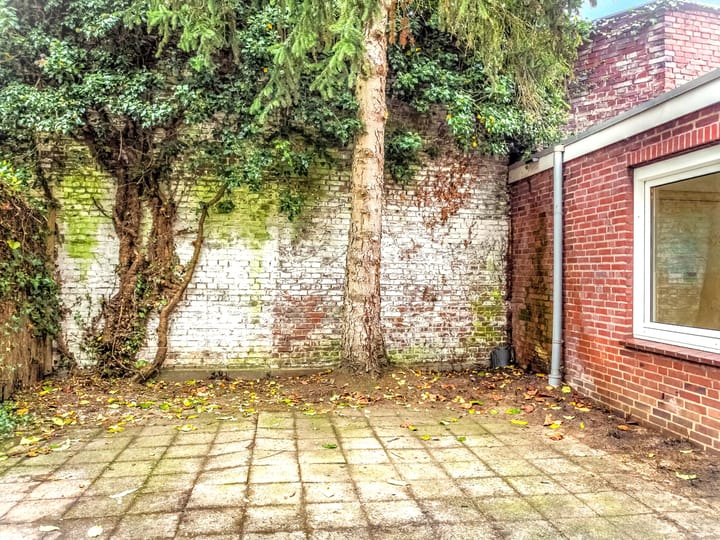 Foto 4 van Roerzicht 4