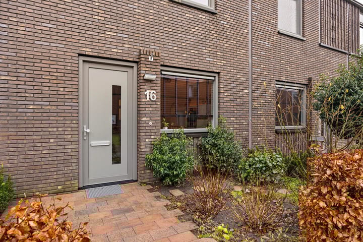 Foto 4 van Blauwgraspad 16