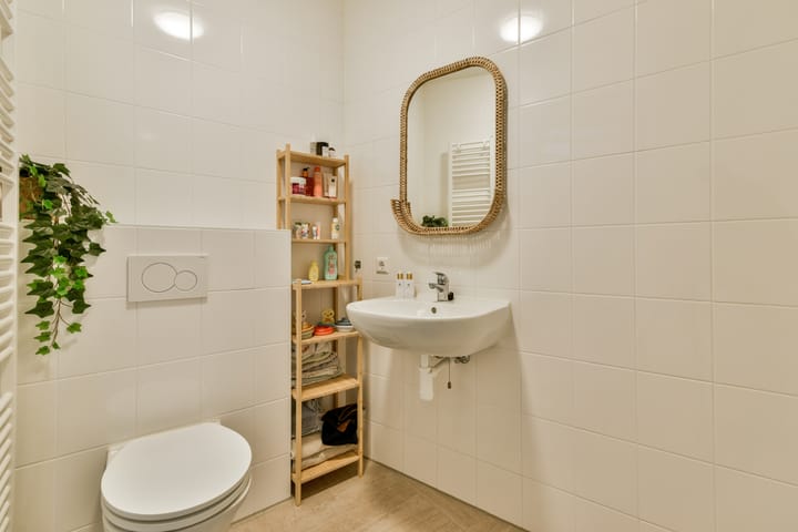 Foto 20 van IJslandpark 49