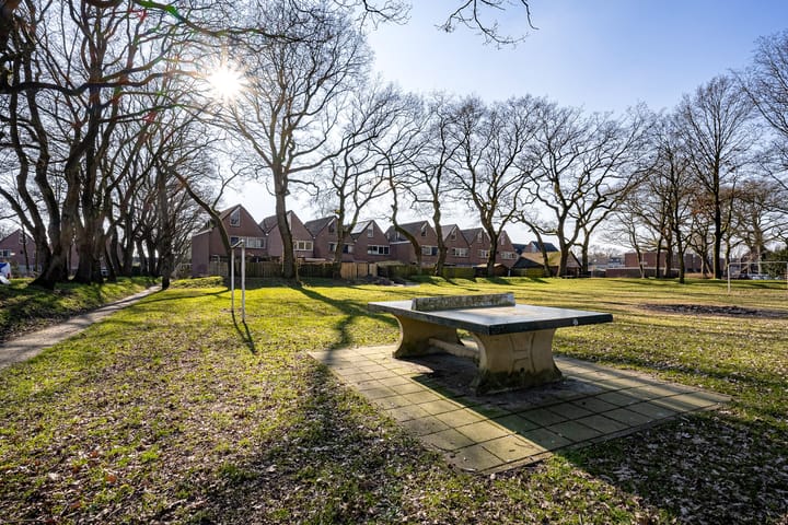 Foto 49 van Rolderbrink 211