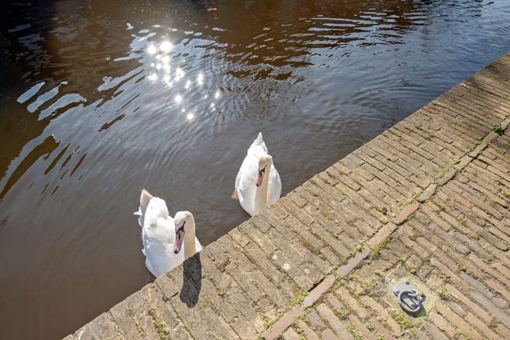 Foto 29 van Buitenwatersloot 121-C