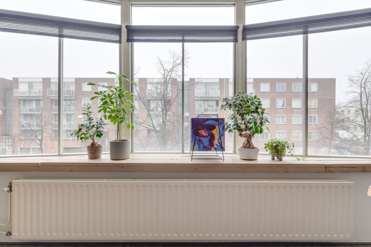 Foto 14 van Charlotte Brontéstraat 174