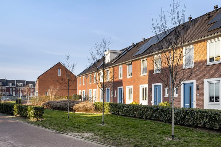 Foto 6 van Vestetuin 11