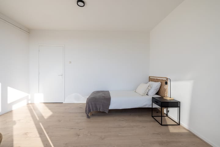 Foto 21 van Willem van Boelrestraat 195