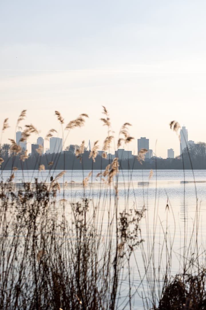 Foto 34 van Willem van Boelrestraat 195