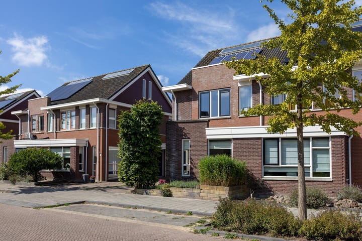 Foto 38 van Optimist 4