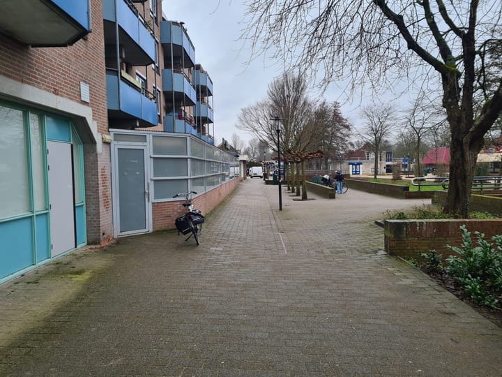 Foto 29 van Sleutelbloem 13