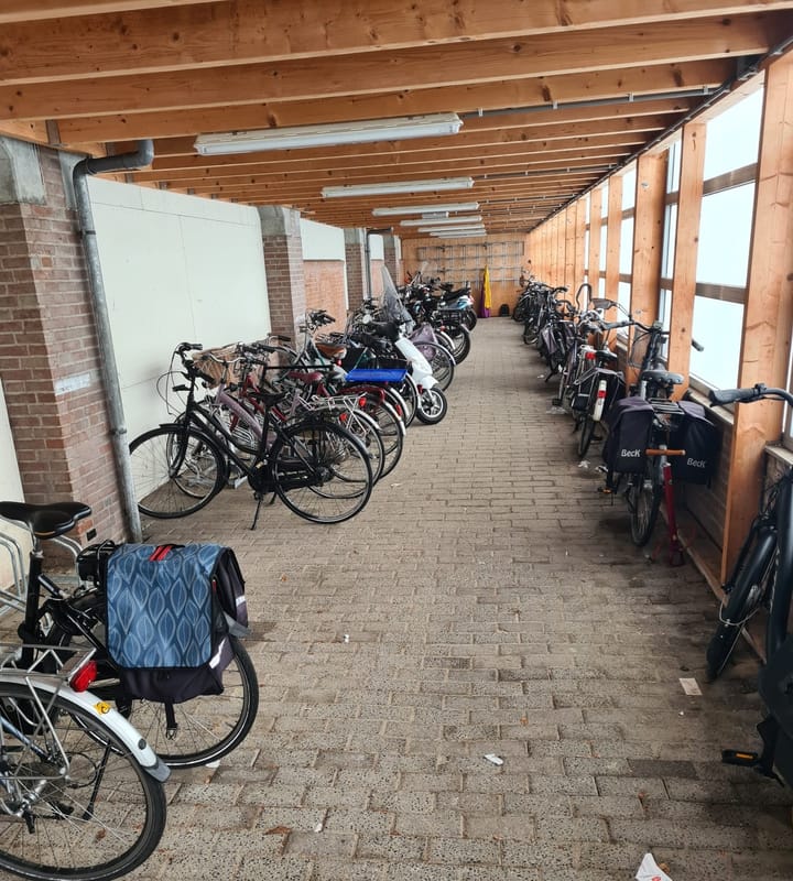 Foto 30 van Sleutelbloem 13