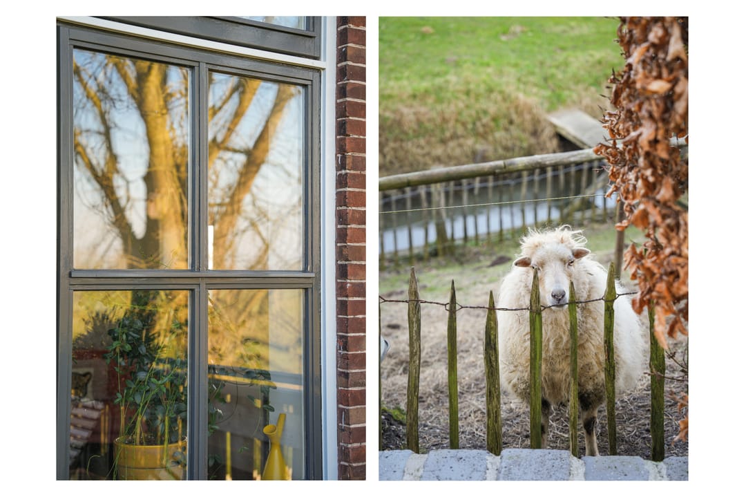 Foto 47 van Maasdijk 54