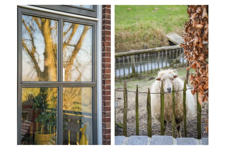 Foto 47 van Maasdijk 54