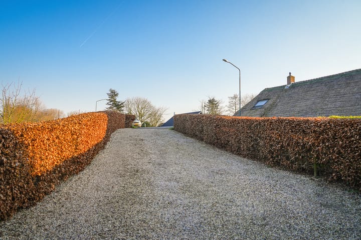 Foto 48 van Maasdijk 54